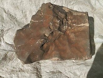 meteorit mars