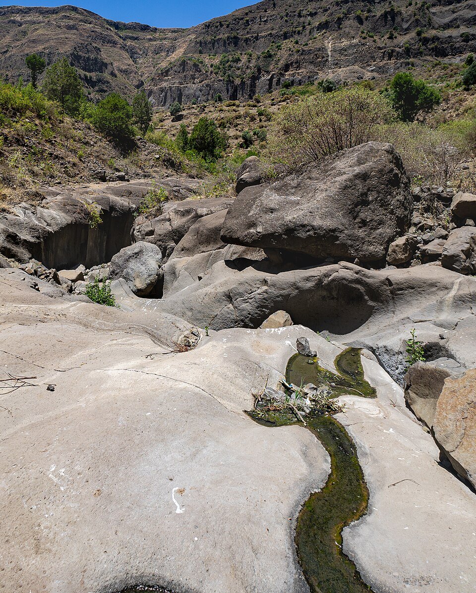 Istočnoafrički rased